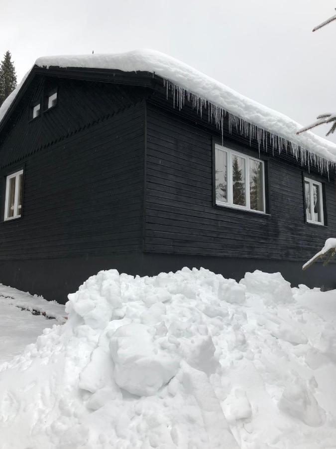 Nordik 1496 Daire Vysoké Tatry Dış mekan fotoğraf